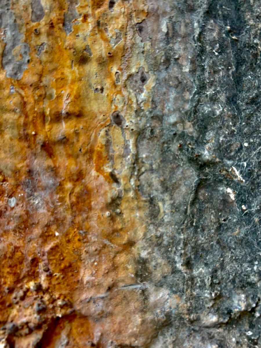 Pluto #3 by Victoria Courtaux, Image 16.