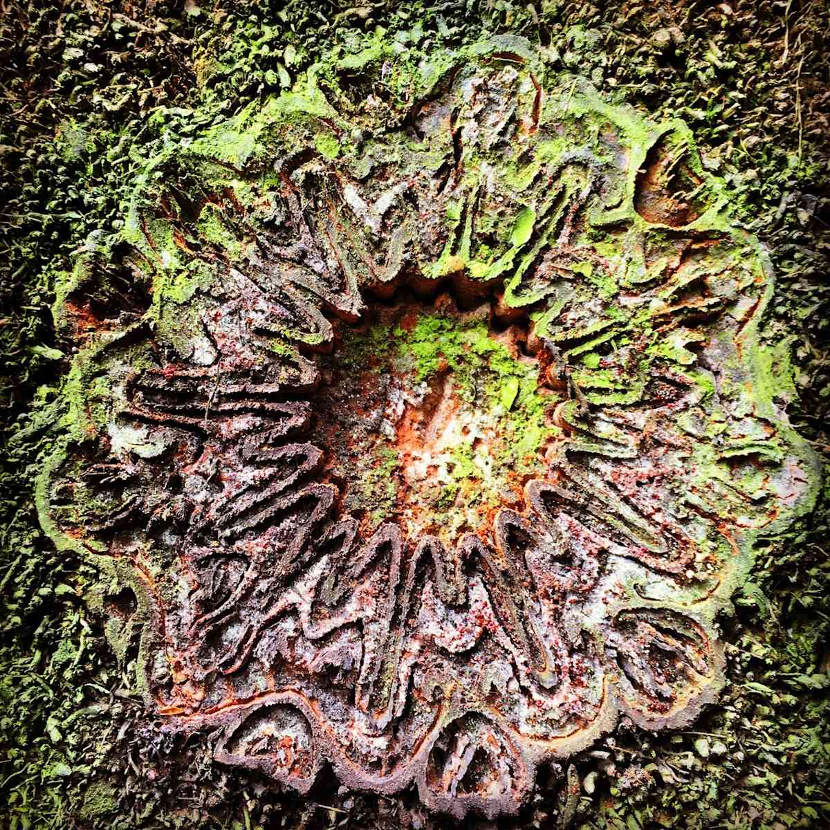 Nature's Songlines #5 by Victoria Courtaux, Image 3.