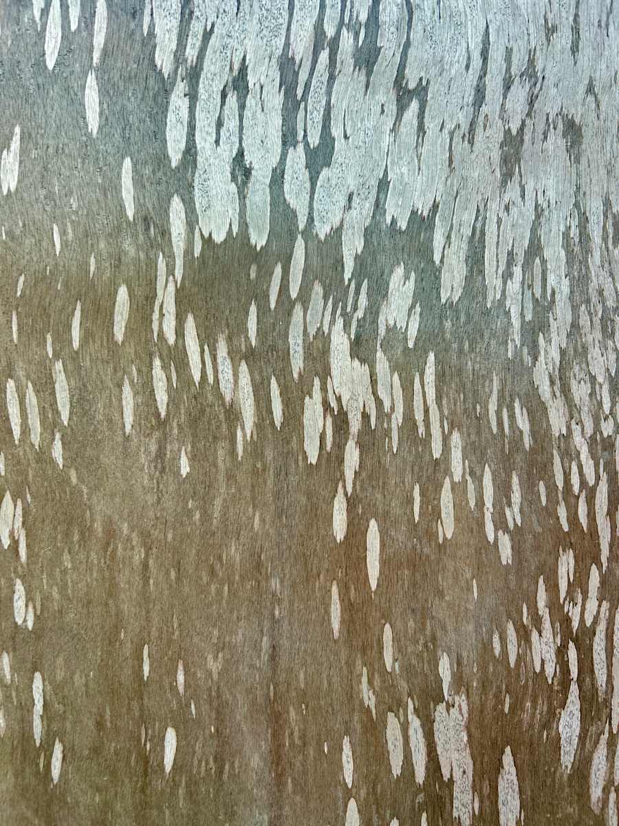 Flow #1 by Victoria Courtaux, Image 1.