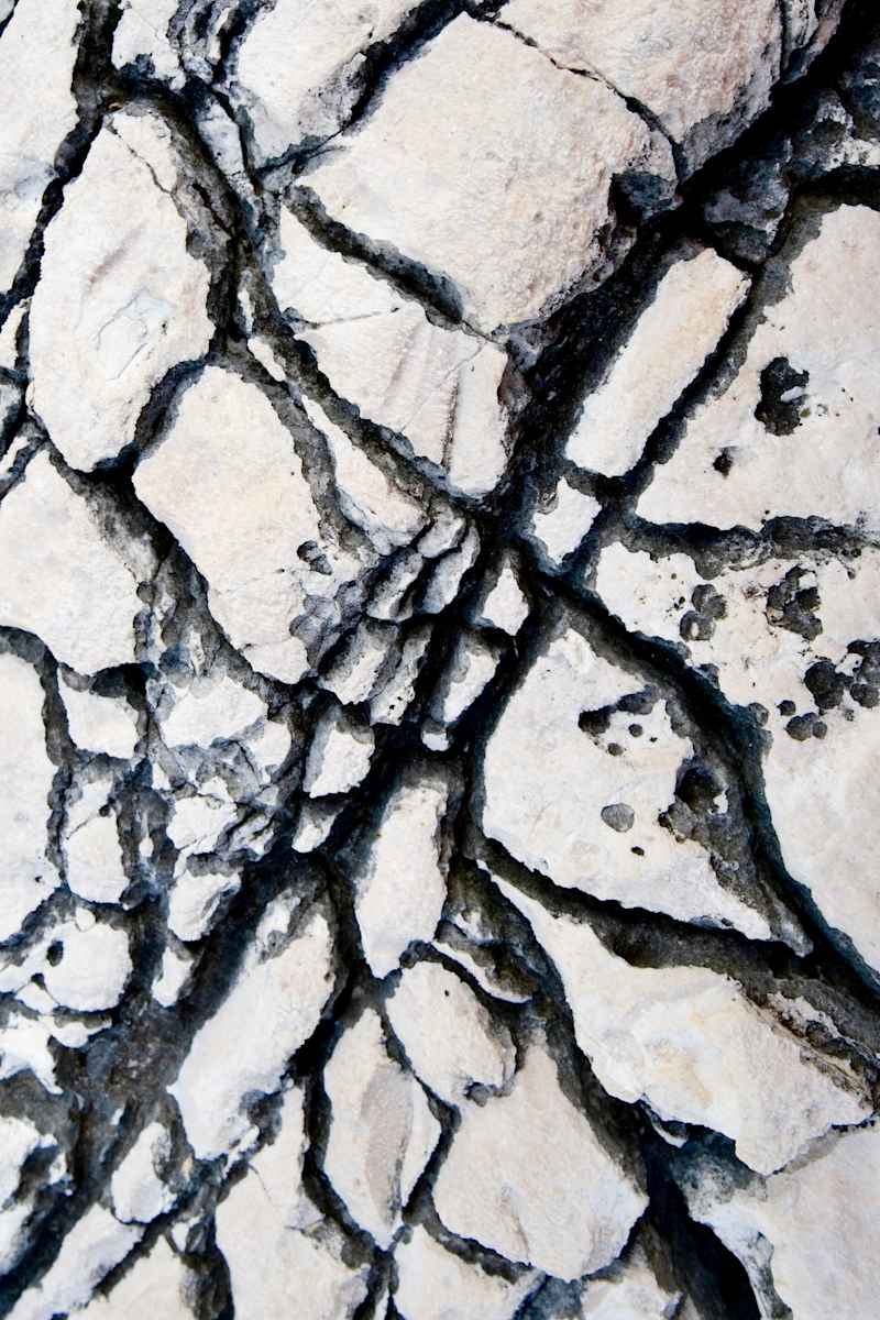 Savage #6 by Victoria Courtaux, Image 8.