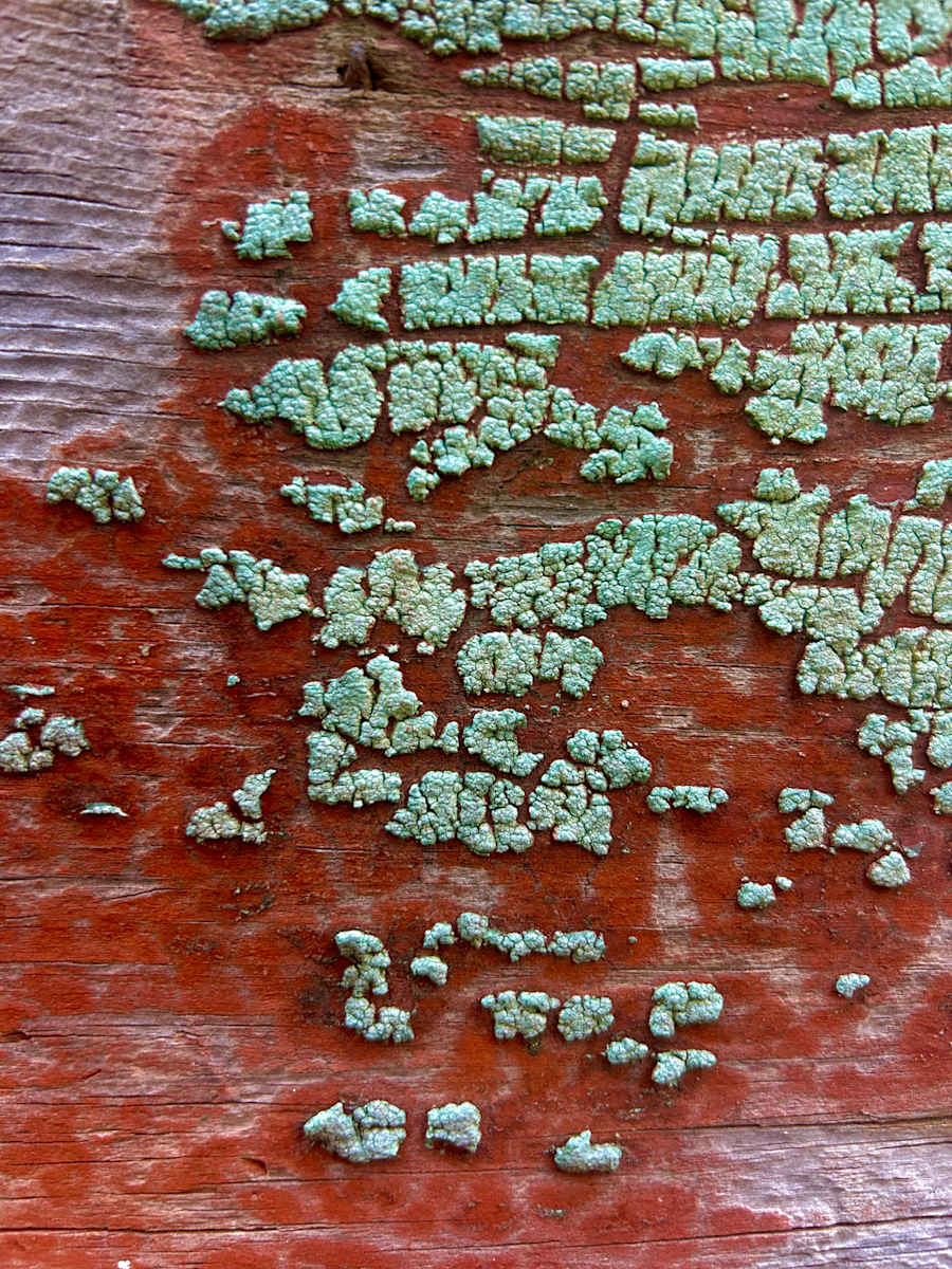 Tactile #4 by Victoria Courtaux, Image 1.