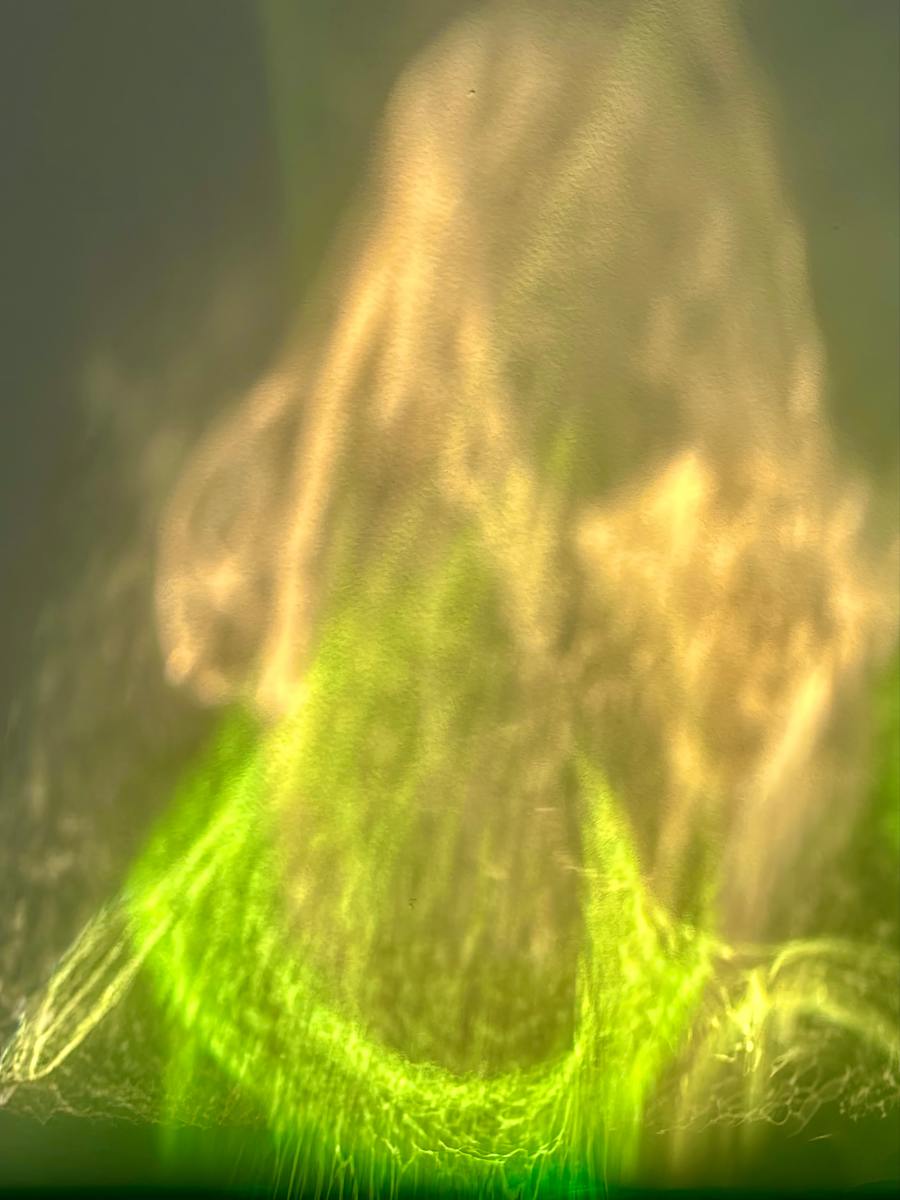 Foregiveness by Victoria Courtaux, Image 2.
