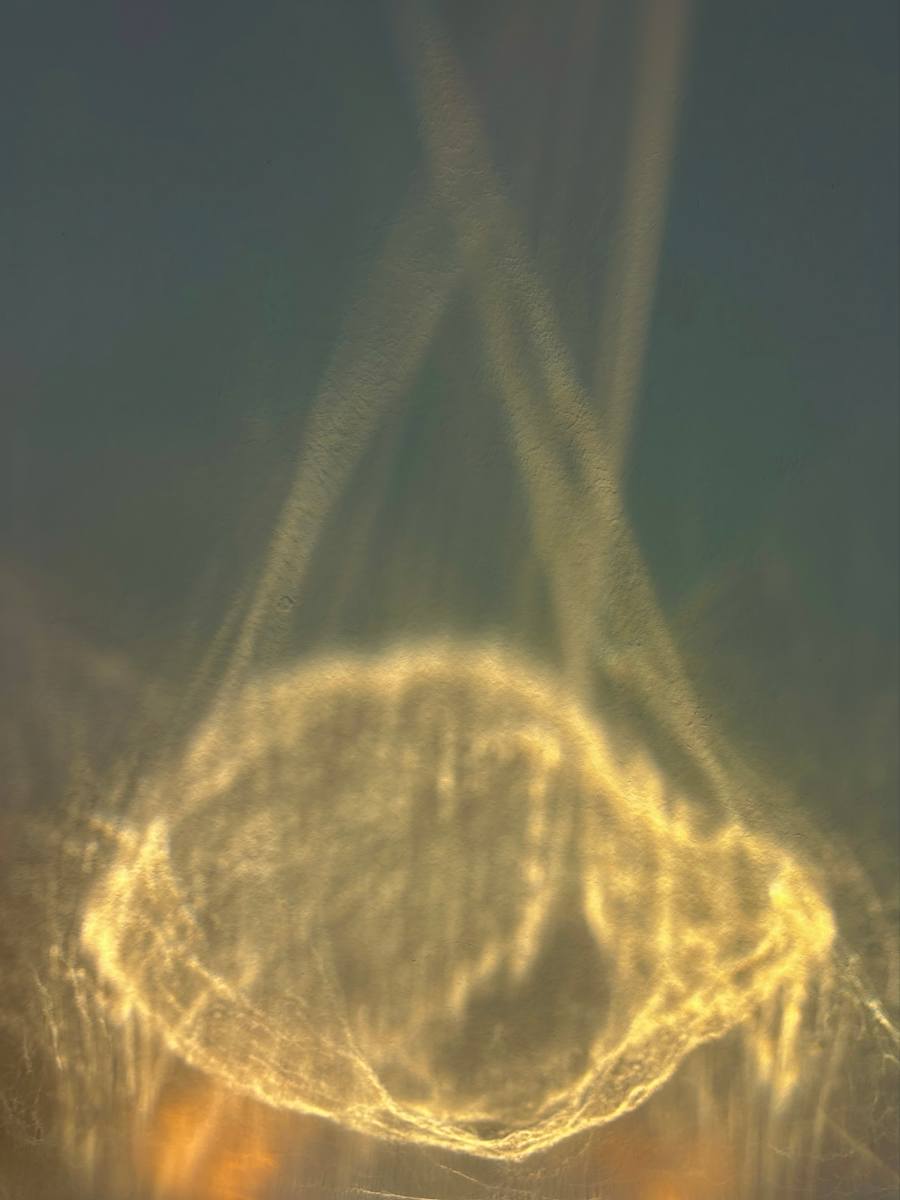 Love by Victoria Courtaux, Image 6.