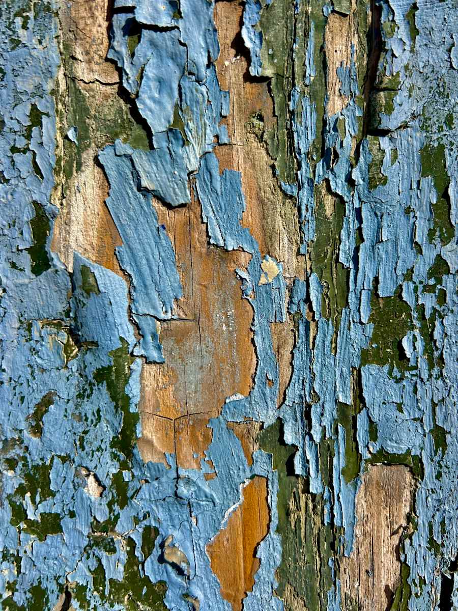 Your Layers, Your Beauty #4 by Victoria Courtaux, Image 1.