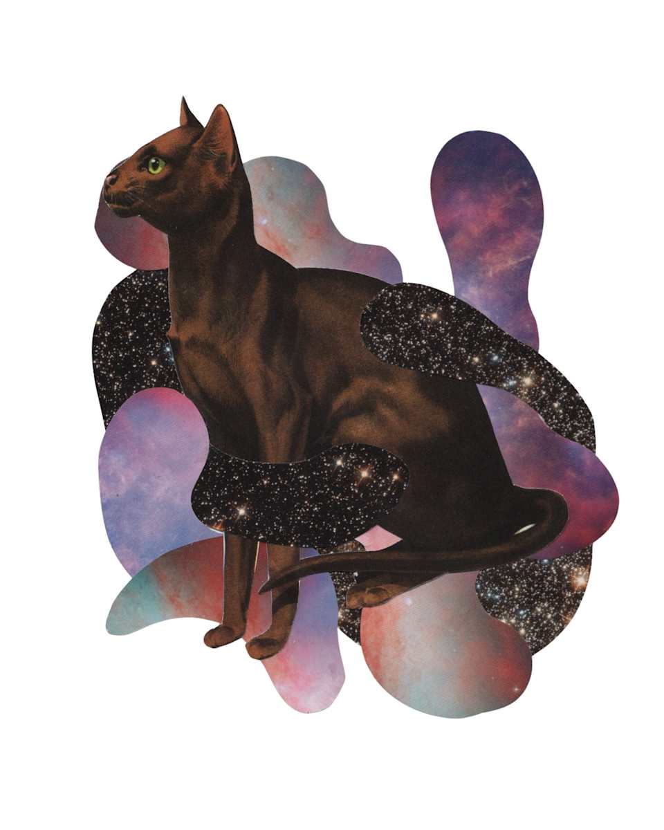 Cosmic Cats 5 by Emily Morgan, Image 1.