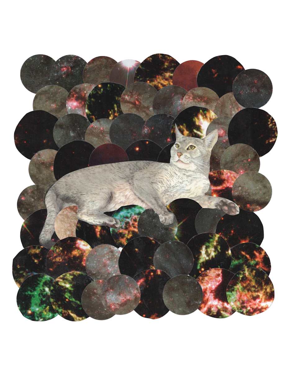 Cosmic Cats 6 by Emily Morgan, Image 1.