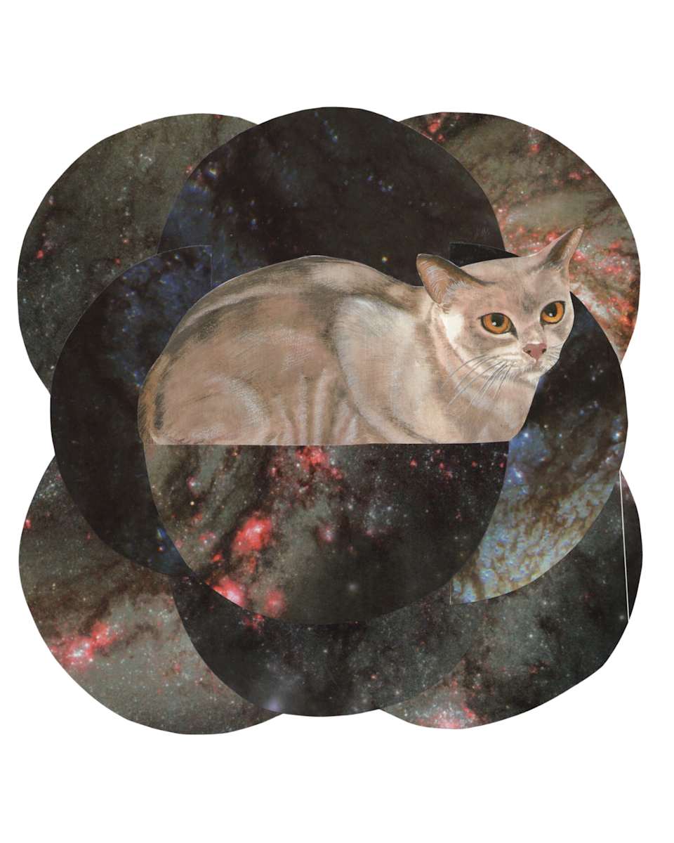 Cosmic Cats 7 by Emily Morgan, Image 1.