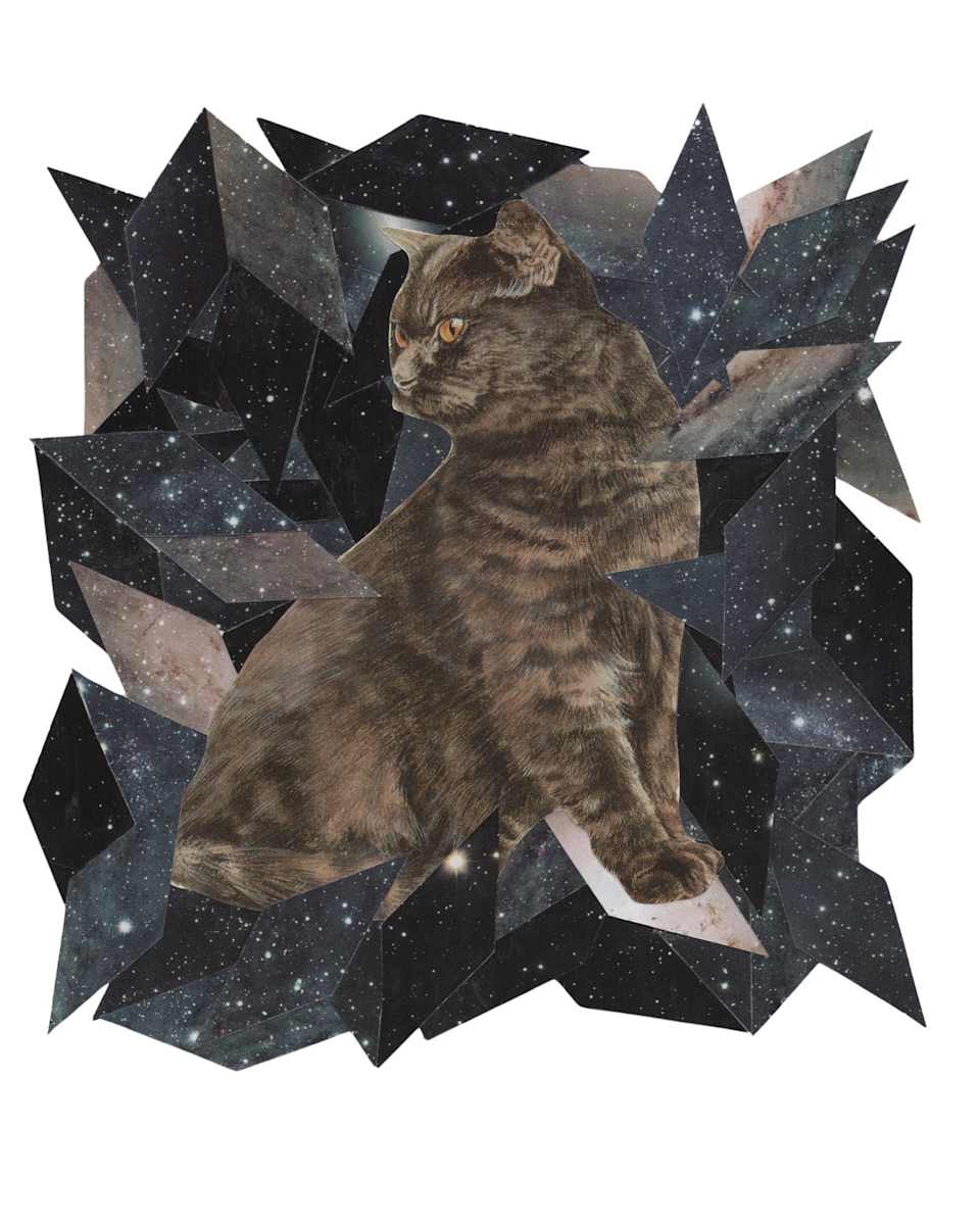 Cosmic Cats 8 by Emily Morgan, Image 1.