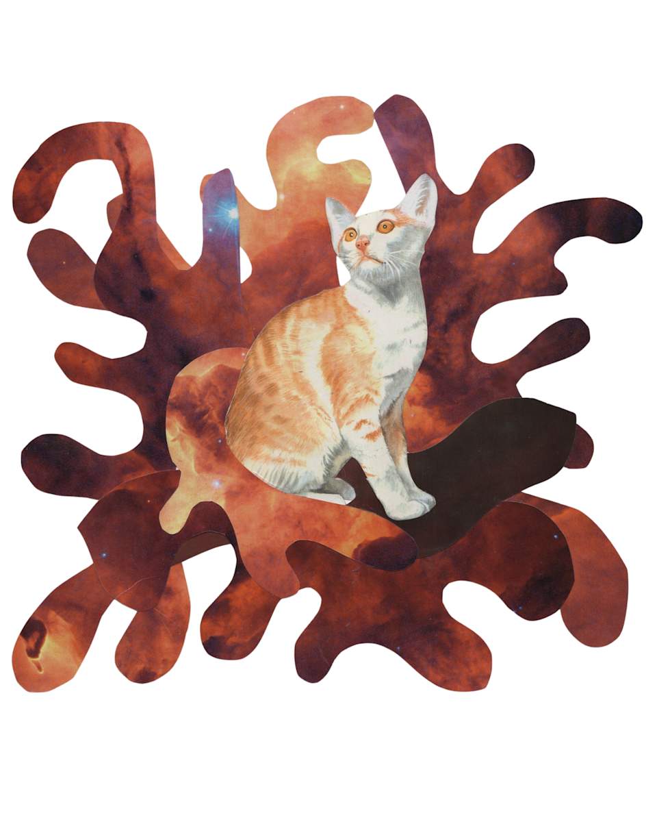 Cosmic Cats 9 by Emily Morgan, Image 1.