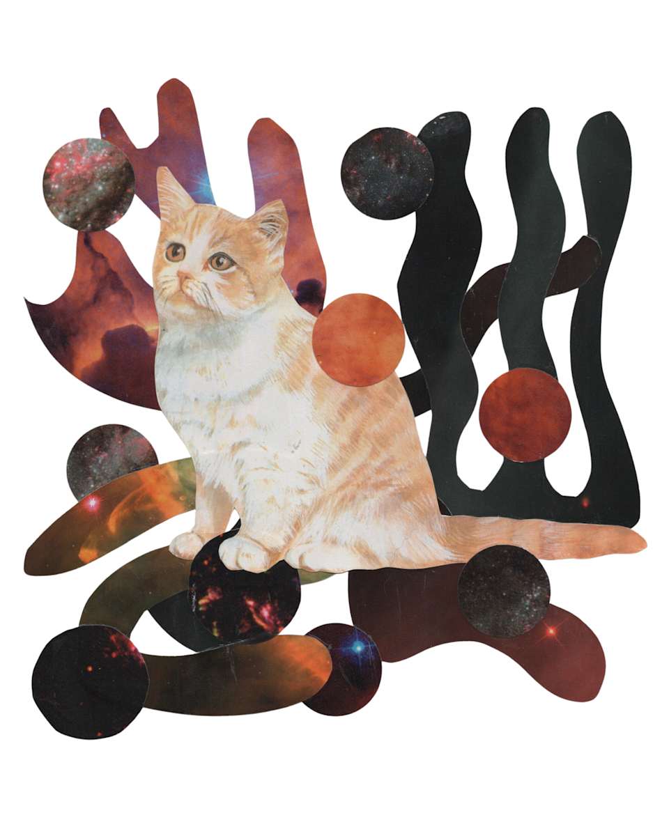 Cosmic Cats 10 by Emily Morgan, Image 1.