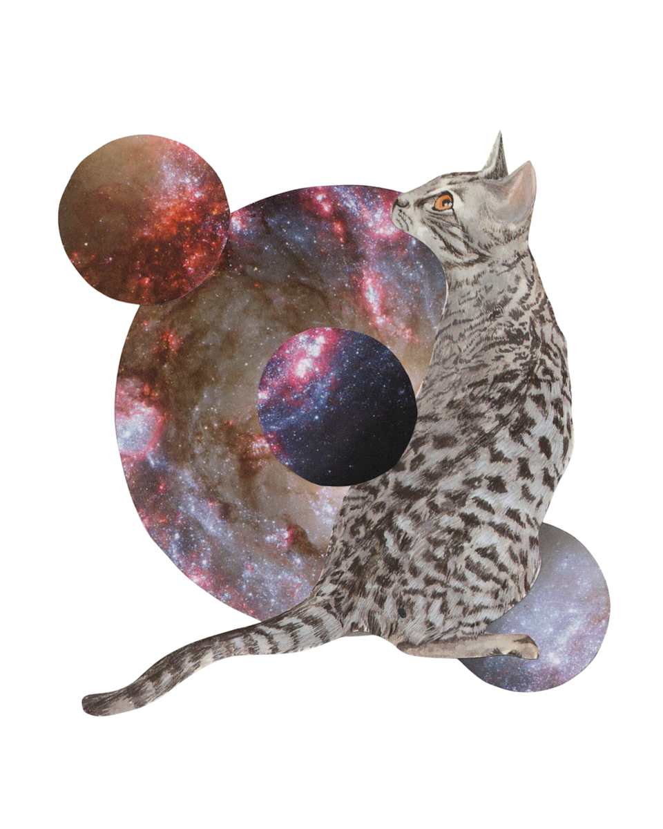 Cosmic Cats 15 by Emily Morgan 