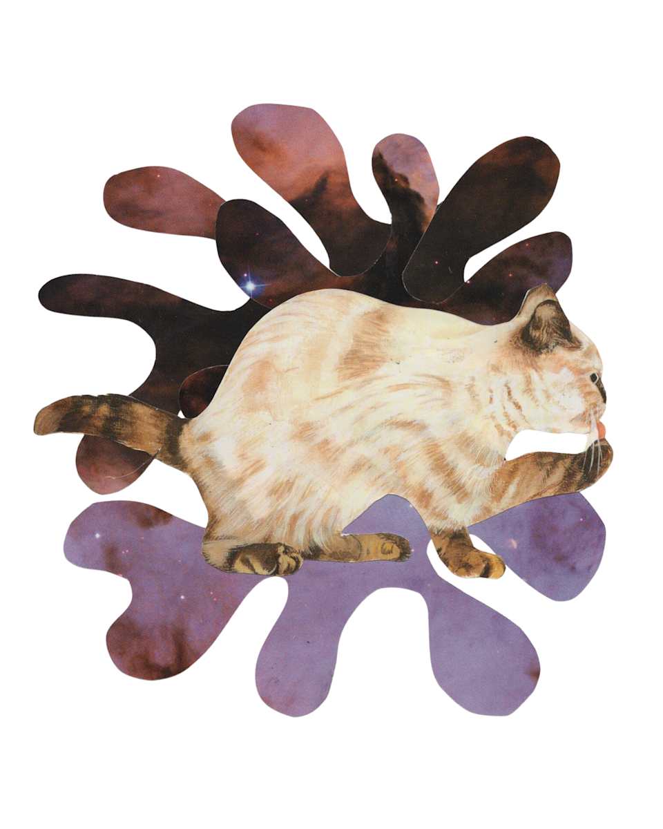 Cosmic Cats 14 by Emily Morgan 