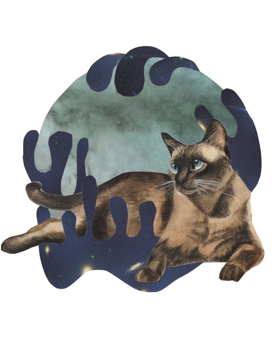 Cosmic Cats 13 by Emily Morgan, Image 2.