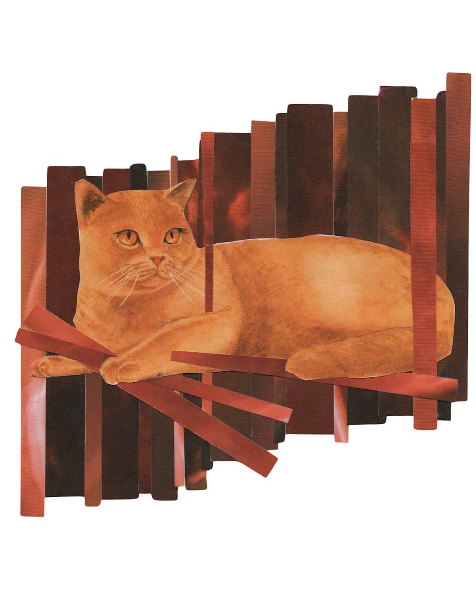Cosmic Cats 12 by Emily Morgan, Image 2.