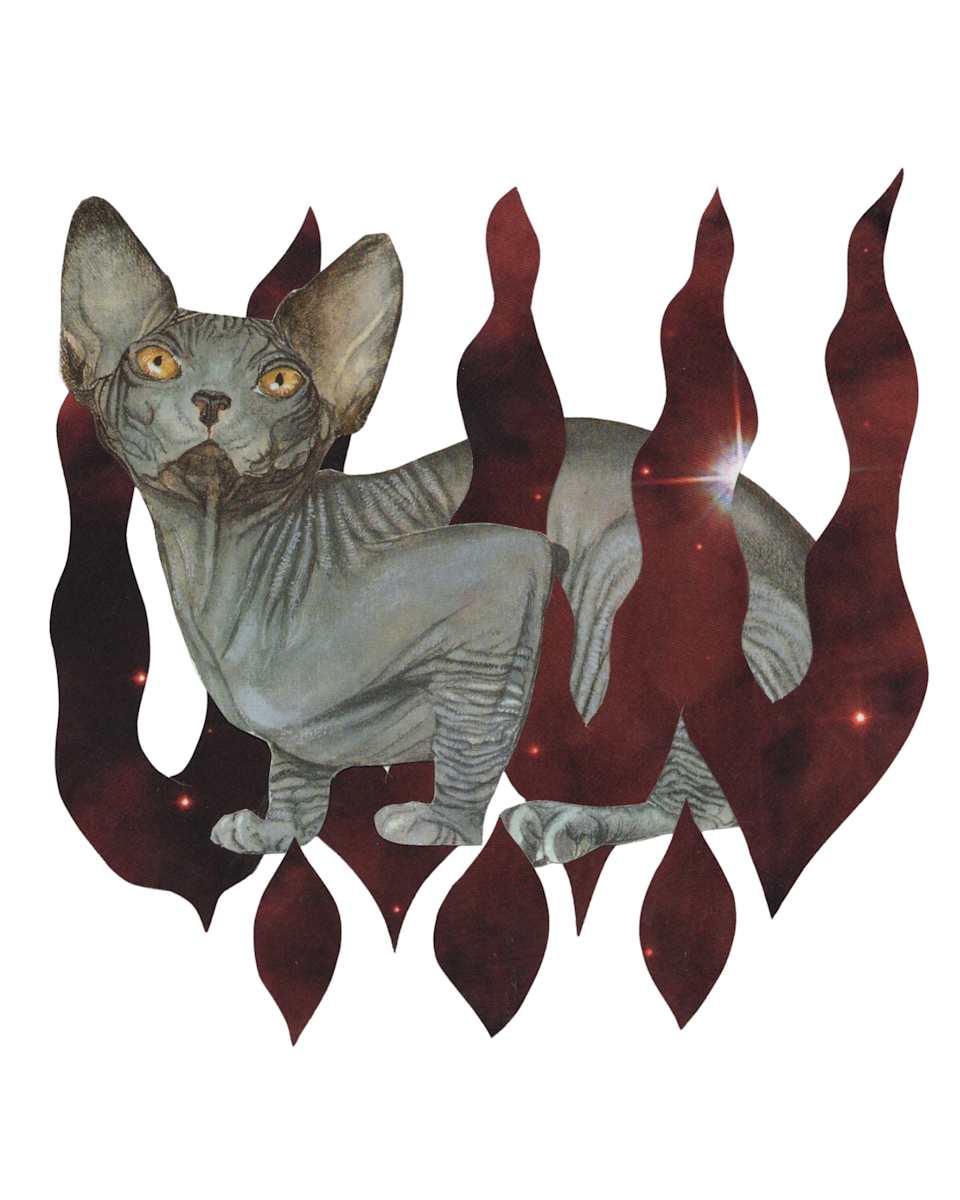 Cosmic Cats 11 by Emily Morgan 