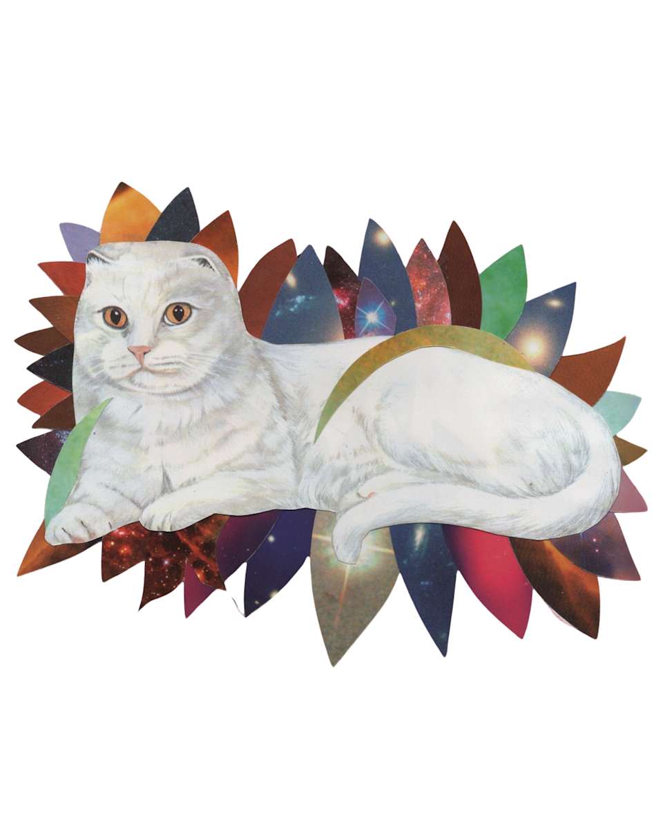 Cosmic Cats 1 by Emily Morgan, Image 1.