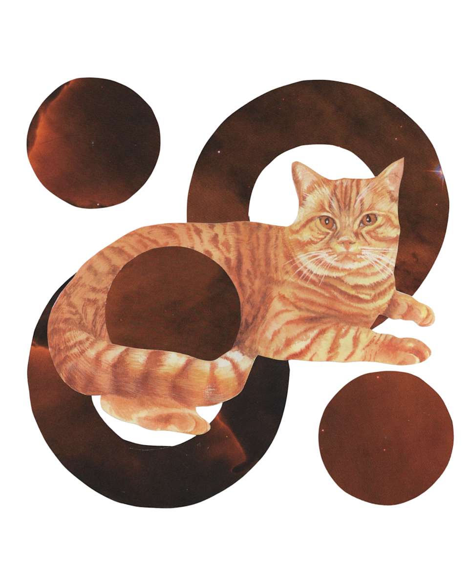 Cosmic Cats 3 by Emily Morgan, Image 1.