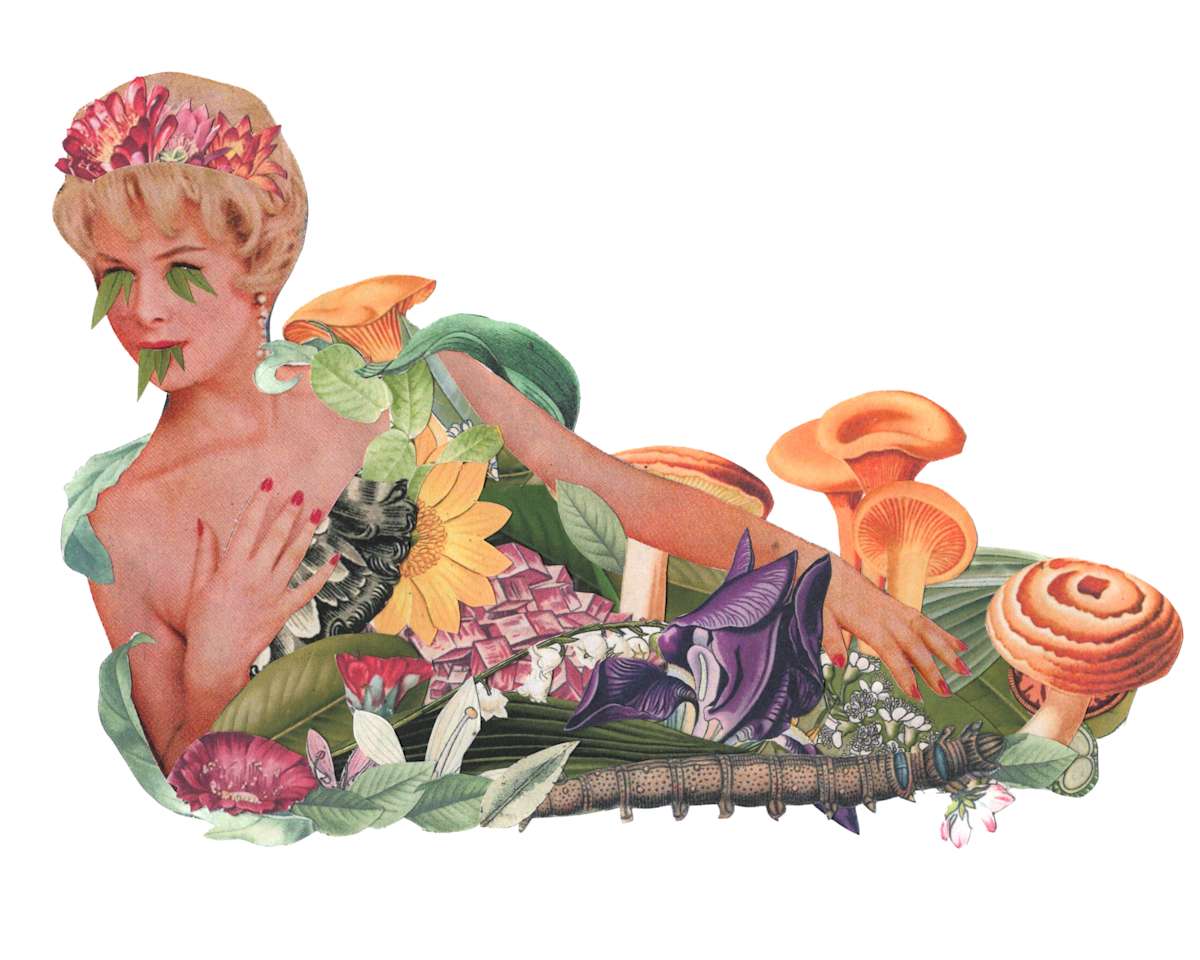 Compost by Emily Morgan 