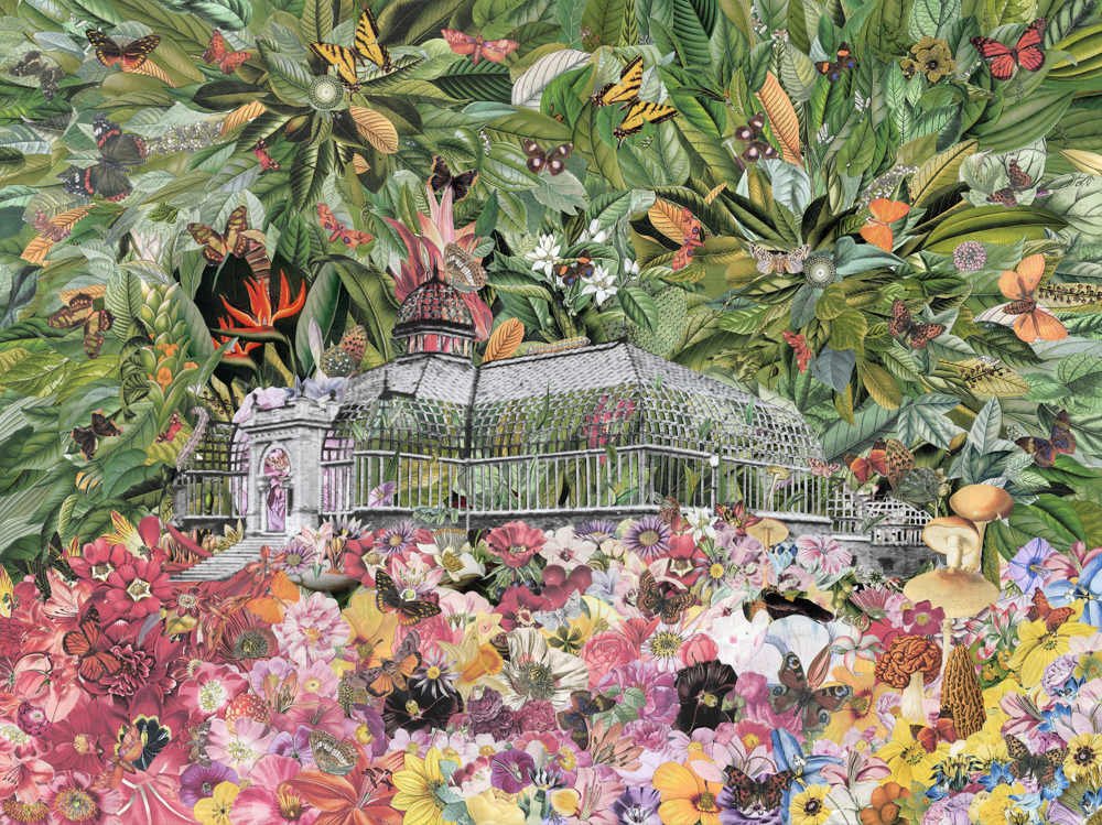 Franklin Park Conservatory by Emily Morgan 