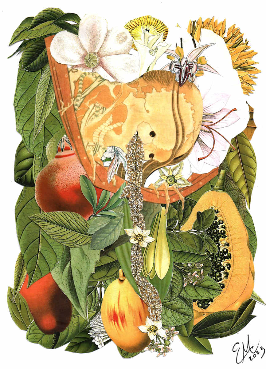 Ghost (early) by Emily Morgan 