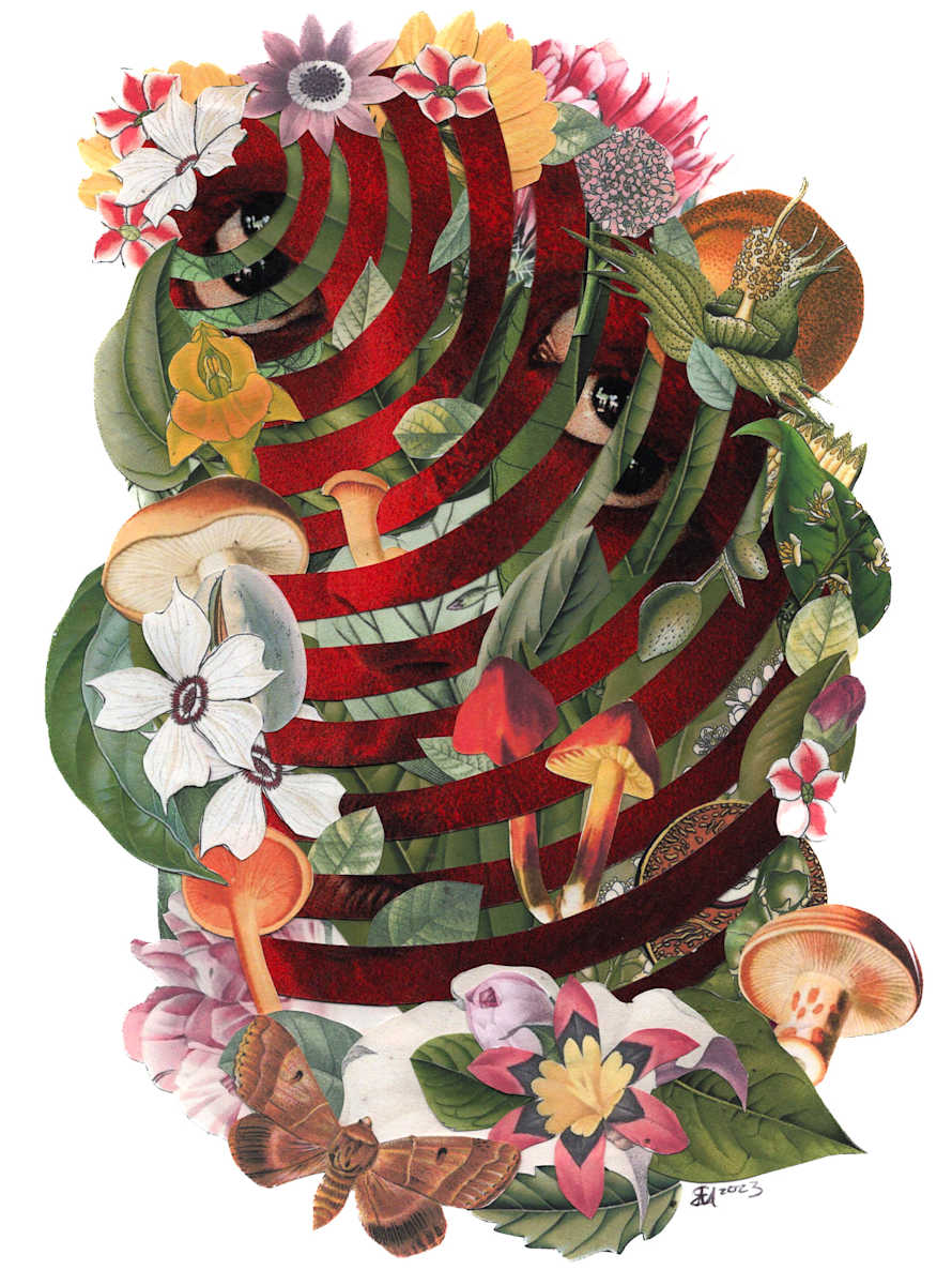 Holi by Emily Morgan 