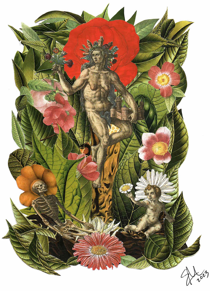 Life by Emily Morgan 