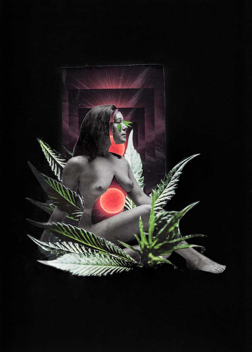 Head Triptych 2 by Emily Morgan 