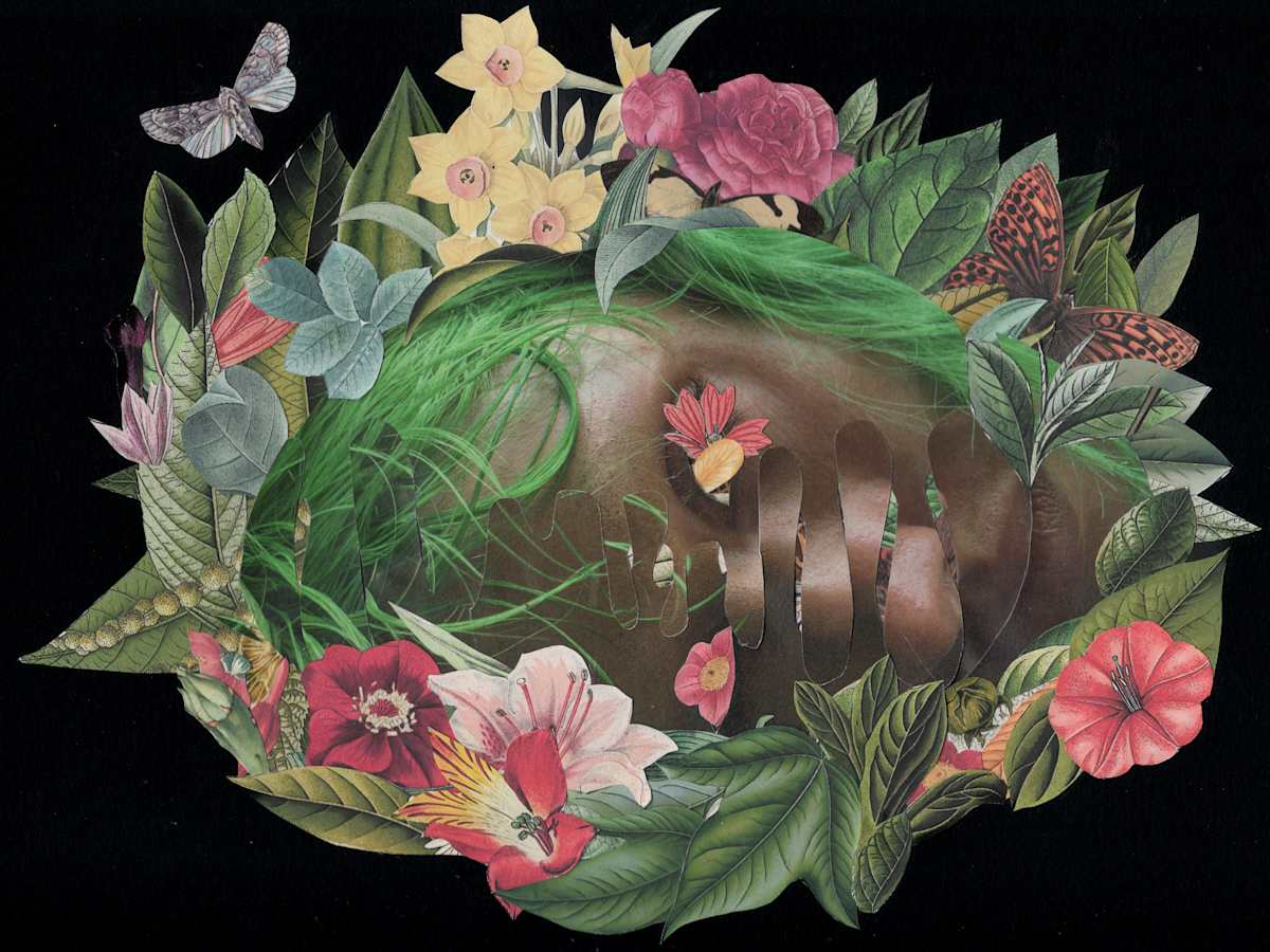 Thaw by Emily Morgan 