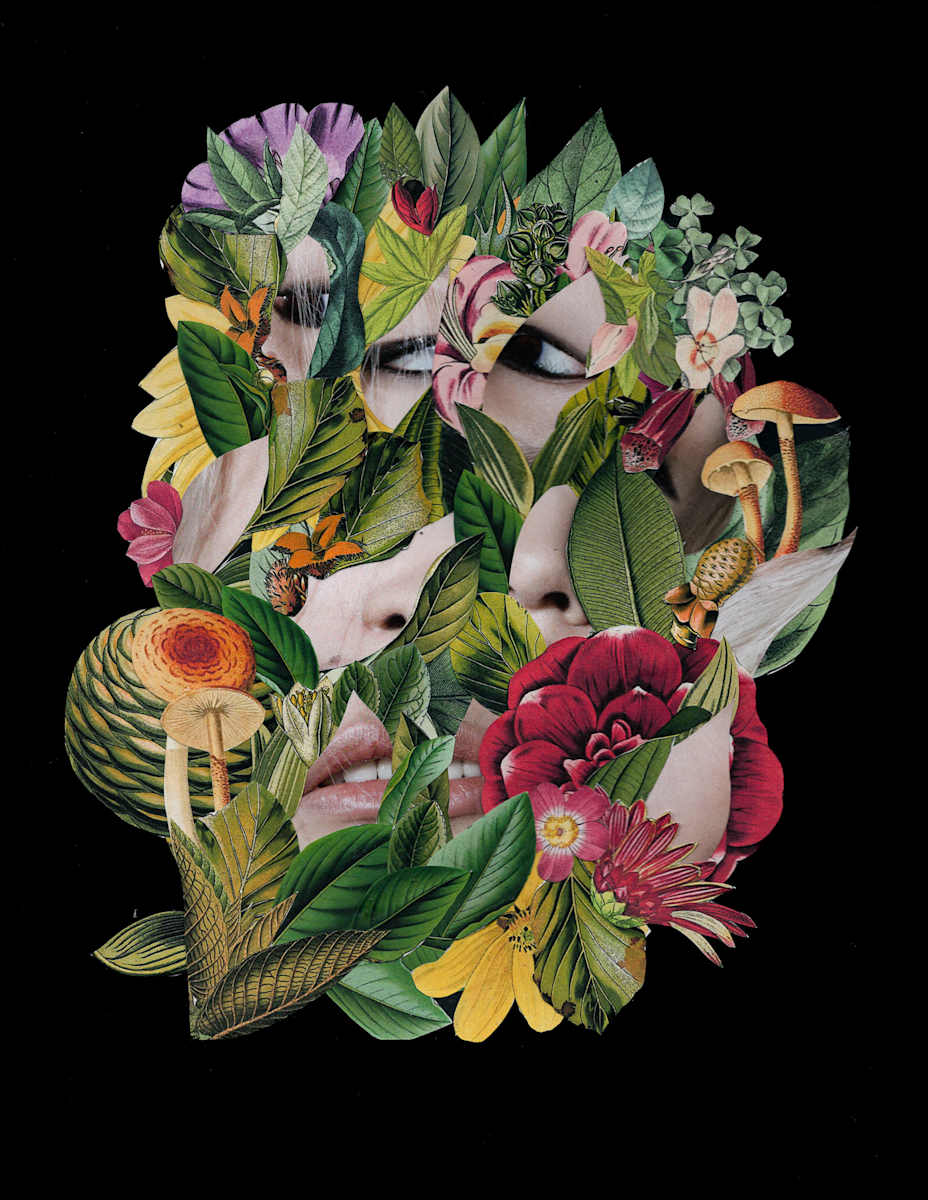 Undergrowth by Emily Morgan 