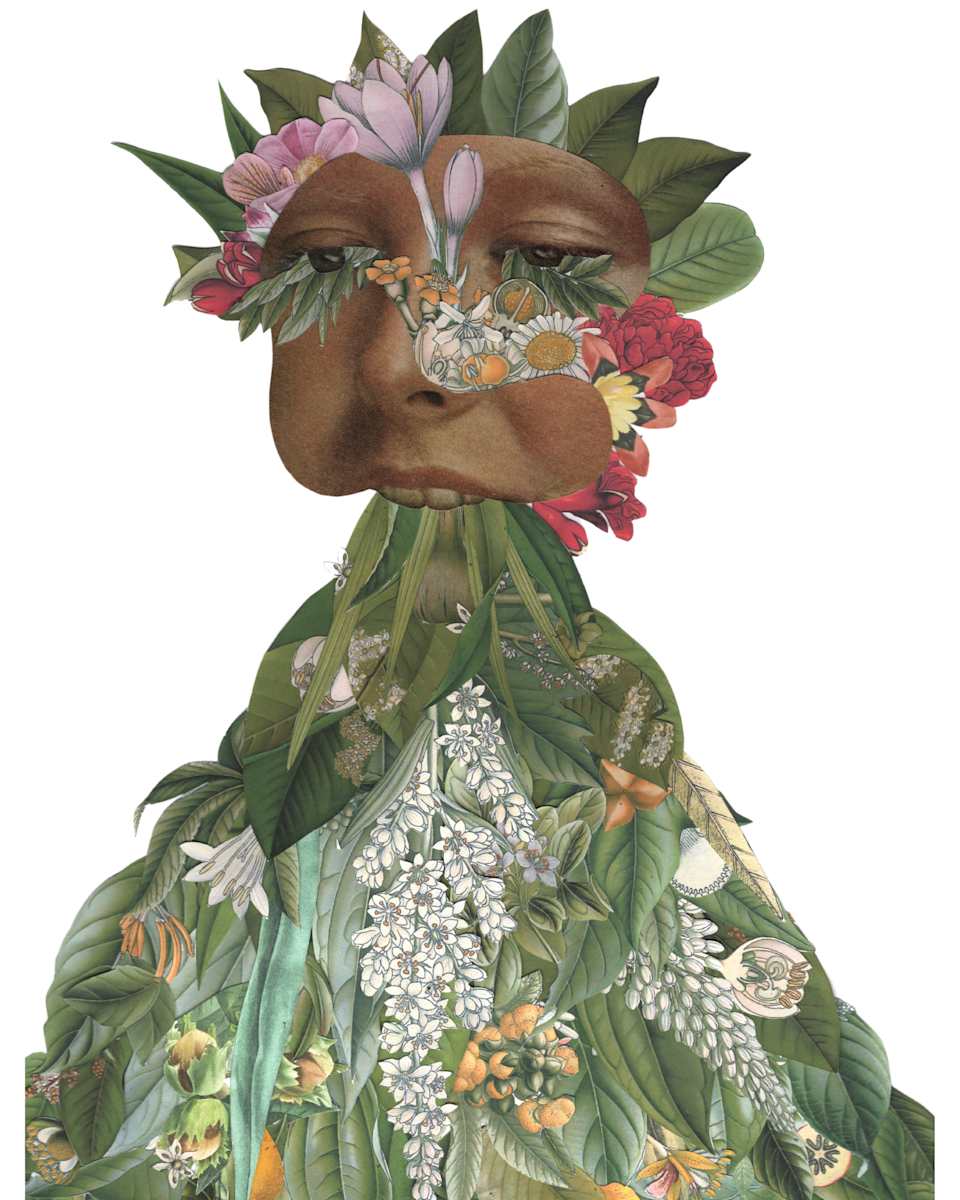 Vom by Emily Morgan, Image 1.