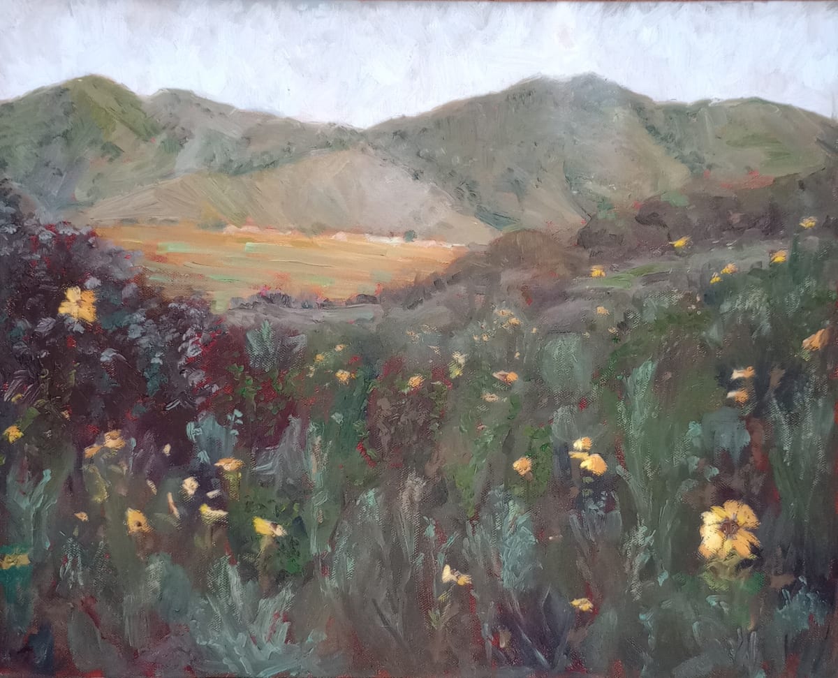 Breakthrough, San Pasqual Valley by Karla Mulry  Image: A dense array of local sunflower meets the end of the morning overcast