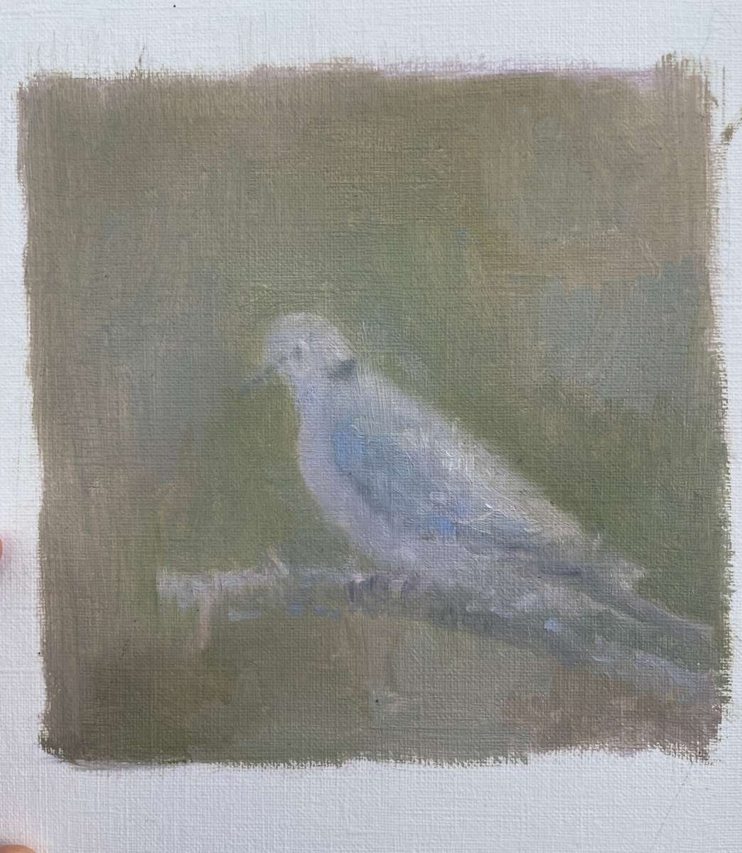 Turtle Dove by Rebecca Goldberg, Image 1.