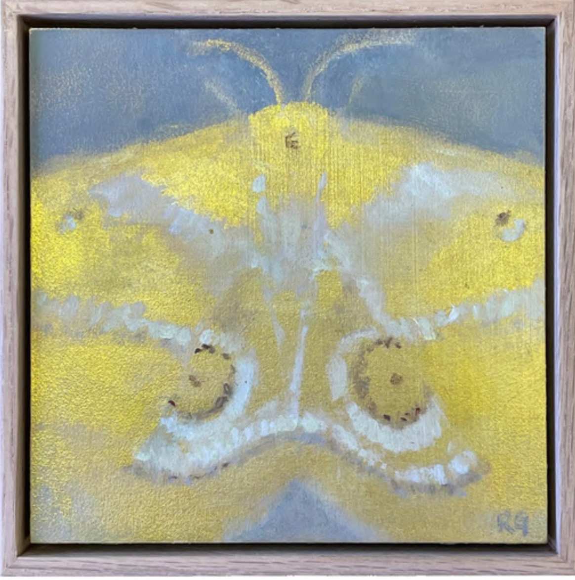 Moth  (framed in oak) by Rebecca Goldberg, Image 1.