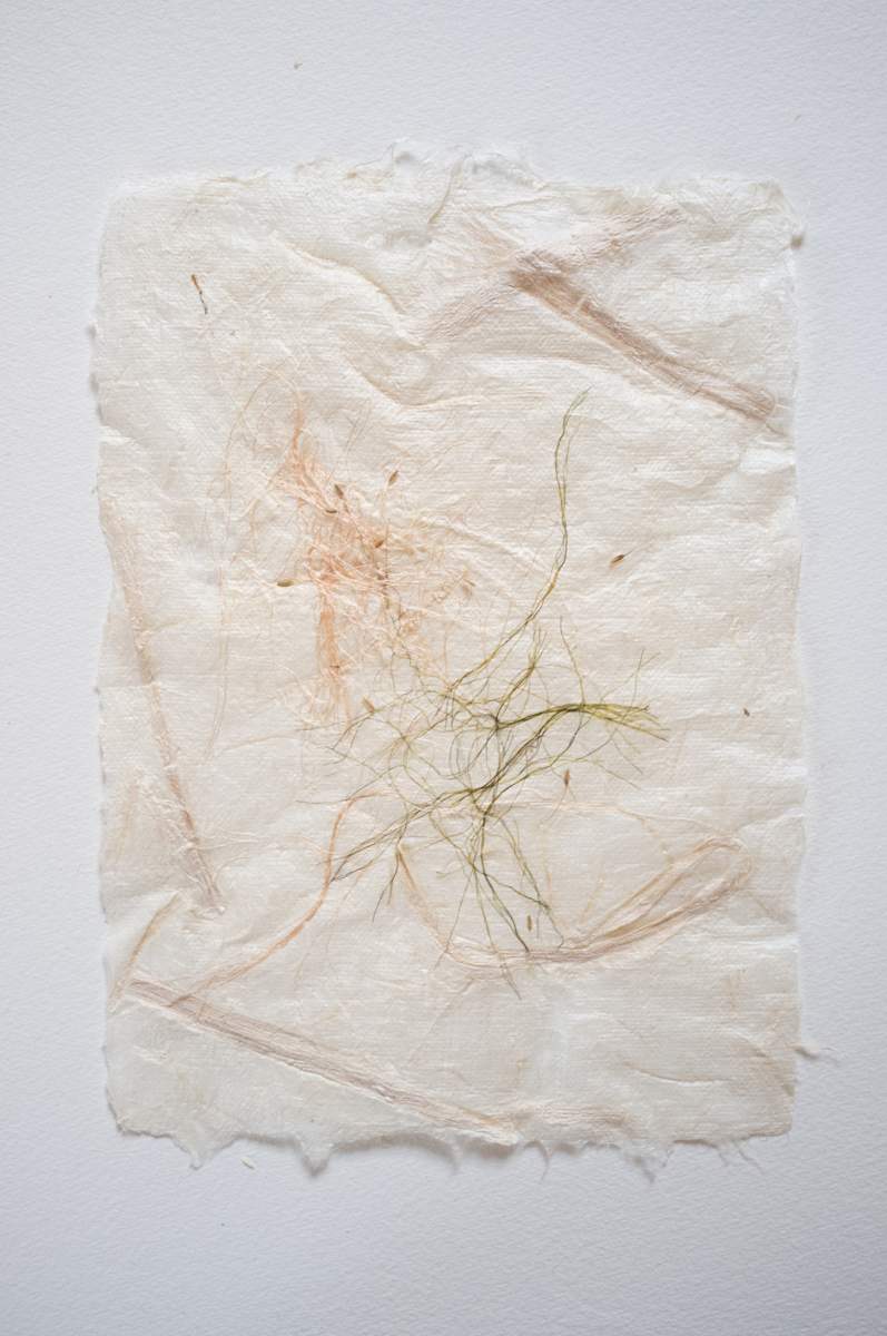 Dandelion 2 by Ruth Gilmour, Image 2.