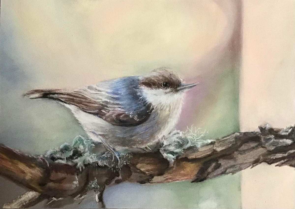 Tiny but Fierce - Brown Nuthatch by Julee Everett  Image: Tiny but Fierce - Brown Nuthatch