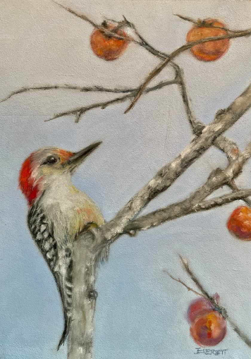 Winter Snack - Sapsucker by Julee Everett  Image: Winter Snack - Sapsucker