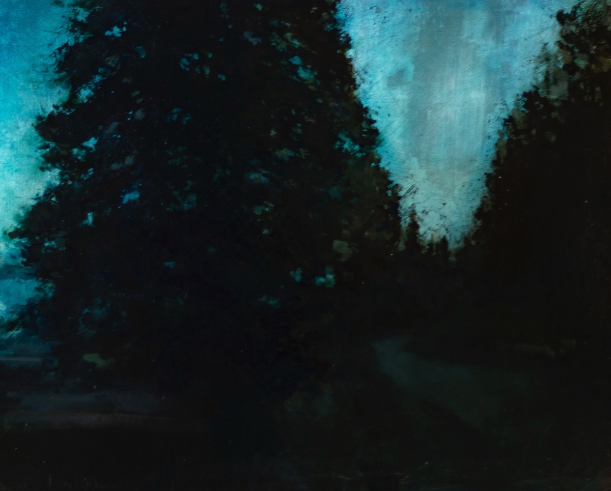 Embrace | Acadia at Night by Don Ripper 