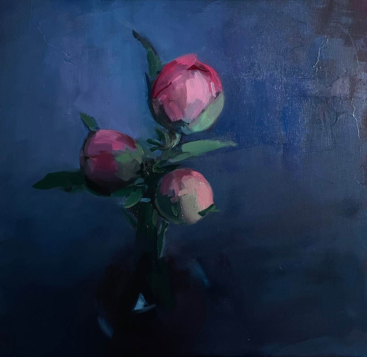 The Promise by Don Ripper 