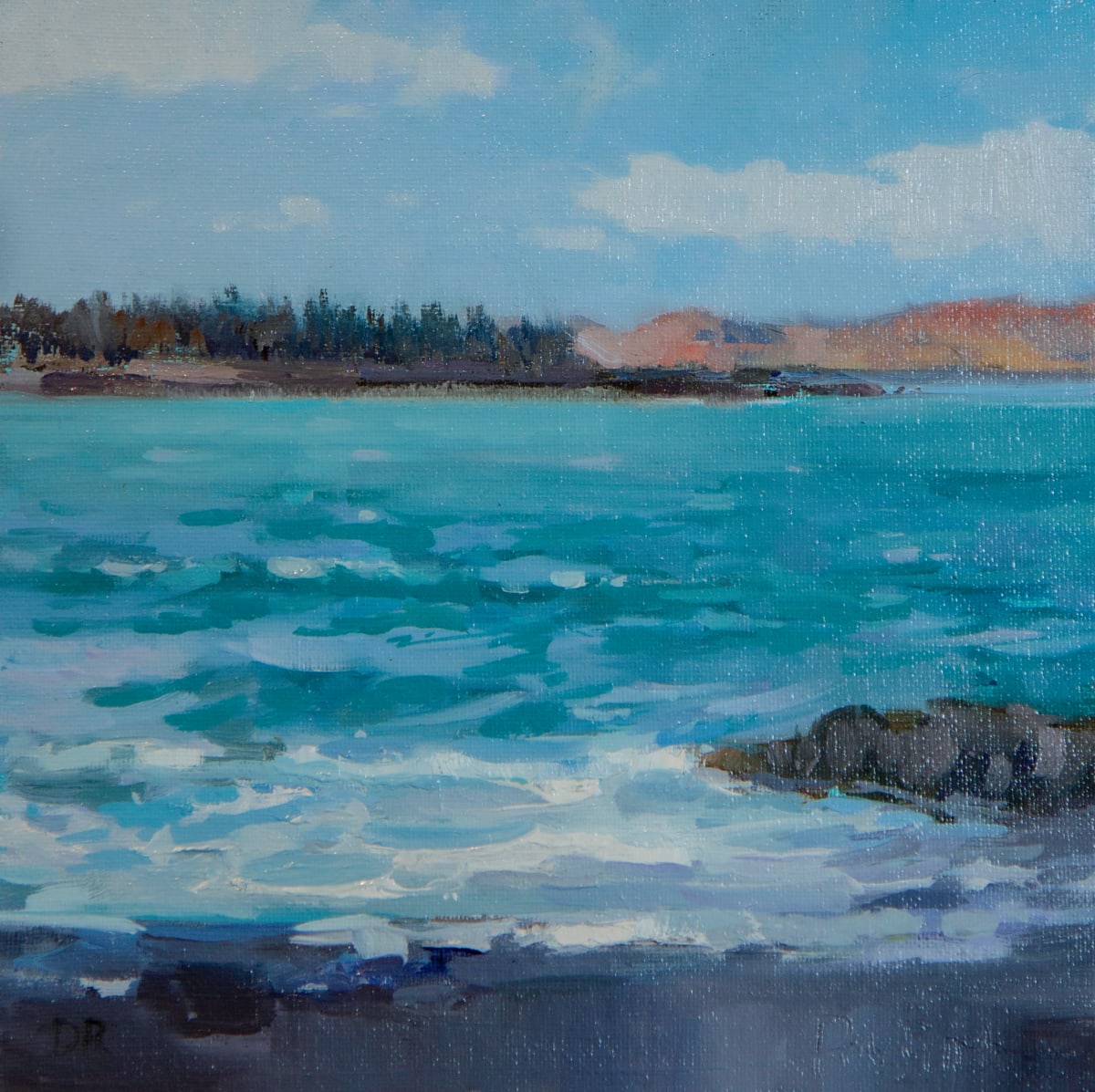 Acadia Surf by Don Ripper 