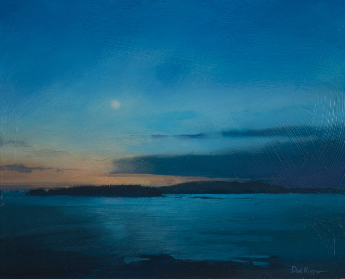 Schoodic Moon by Don Ripper 