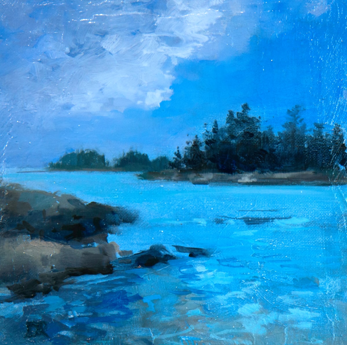 Schoodic Blue by Don Ripper 