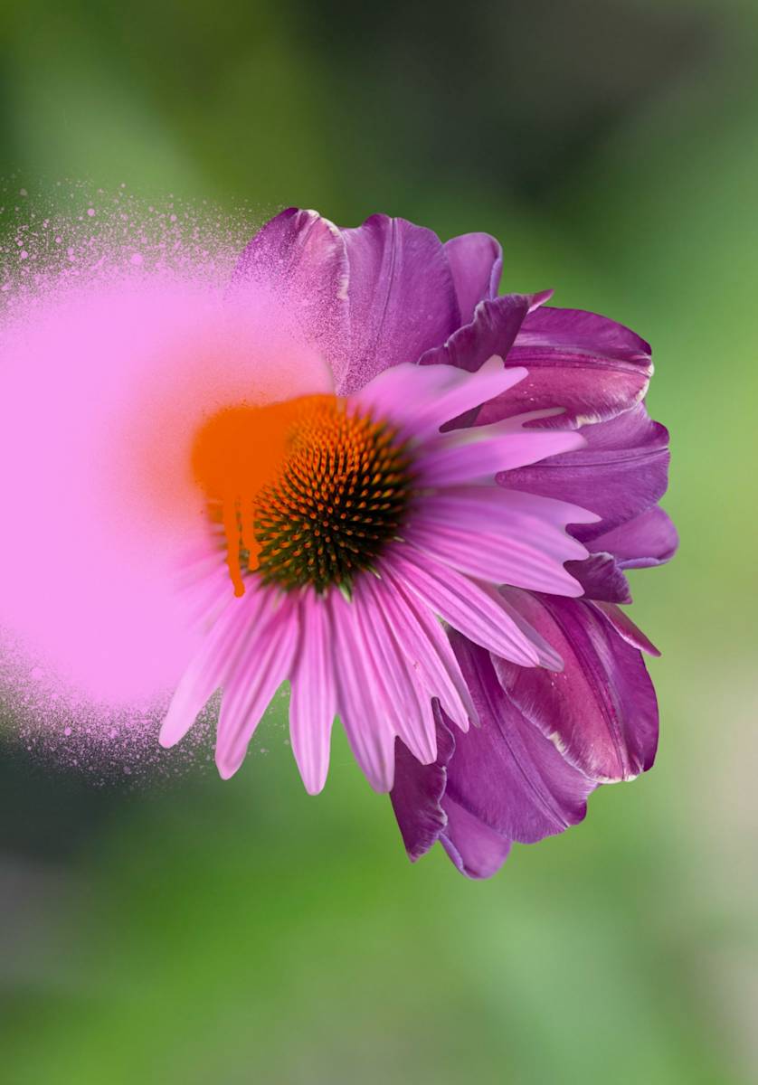 All For Growth by Chris Smith, Image 1.