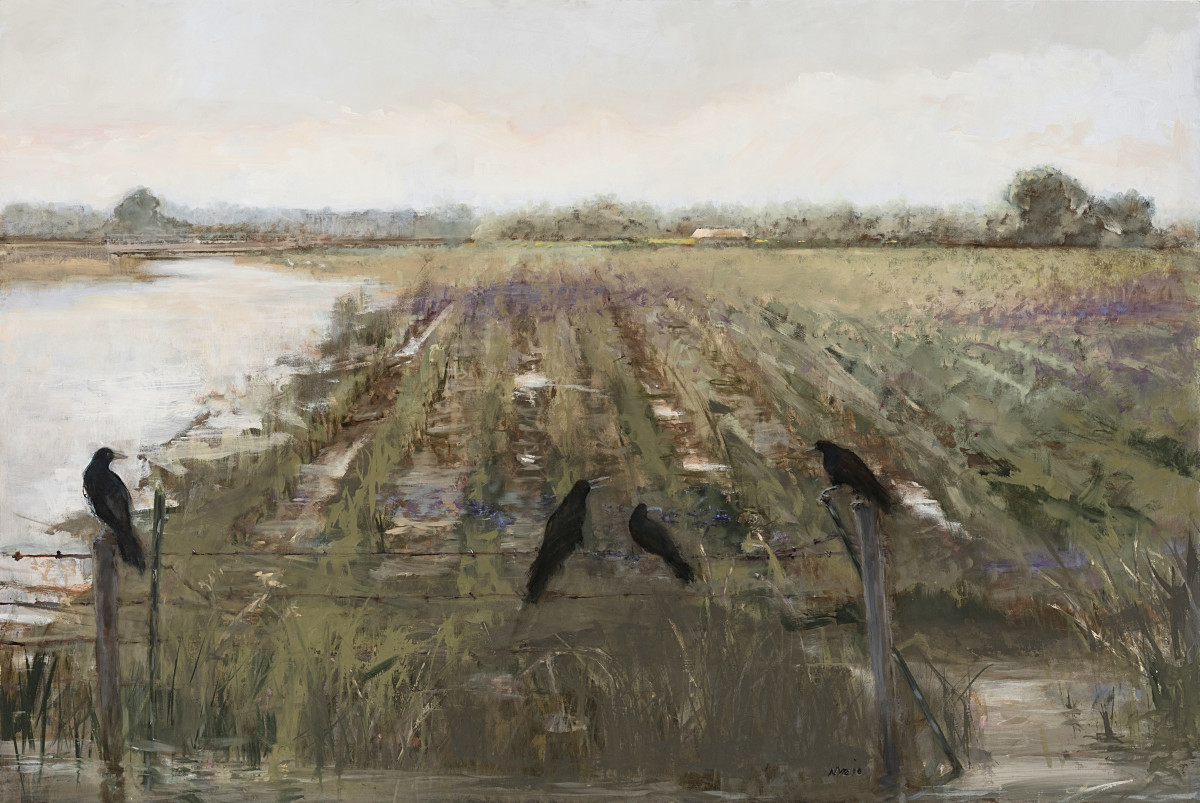 Flooded Field by Donna Lee Nyzio 