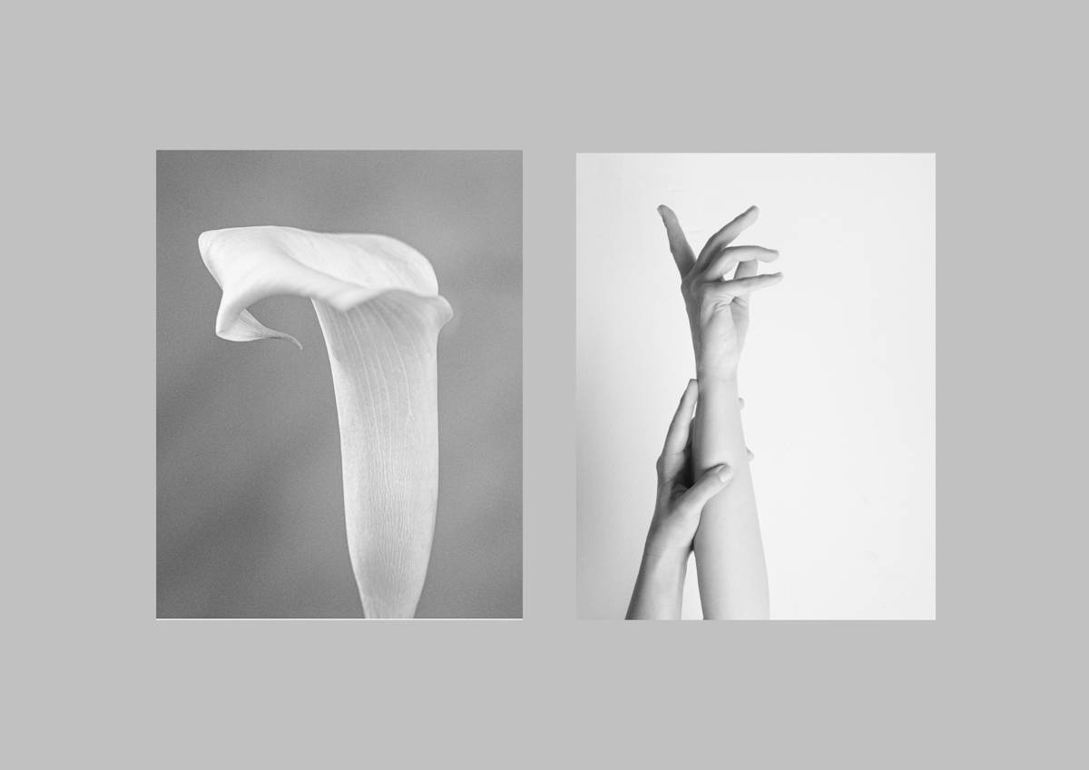 Enveloping hands/ Le drappé des mains by kerenor, Image 1.