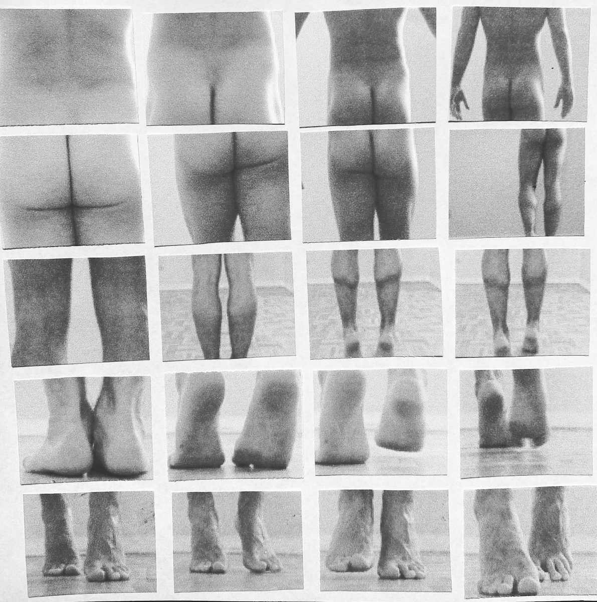 Albin by kerenor, Image 1.