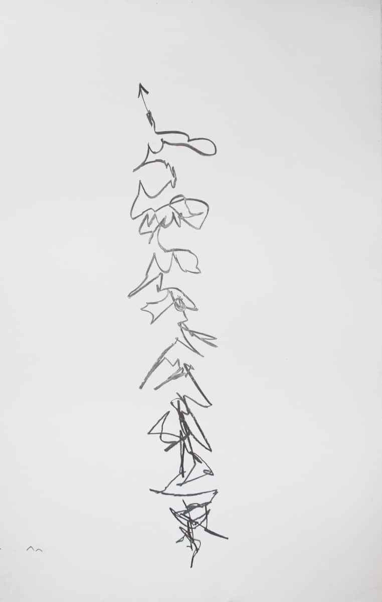 Drawing with my spine by KerenOr, Image 4.