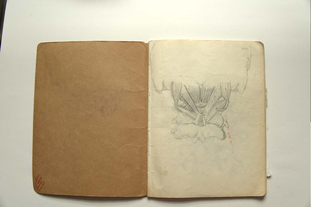 Anatomical notebook by KerenOr, Image 1.