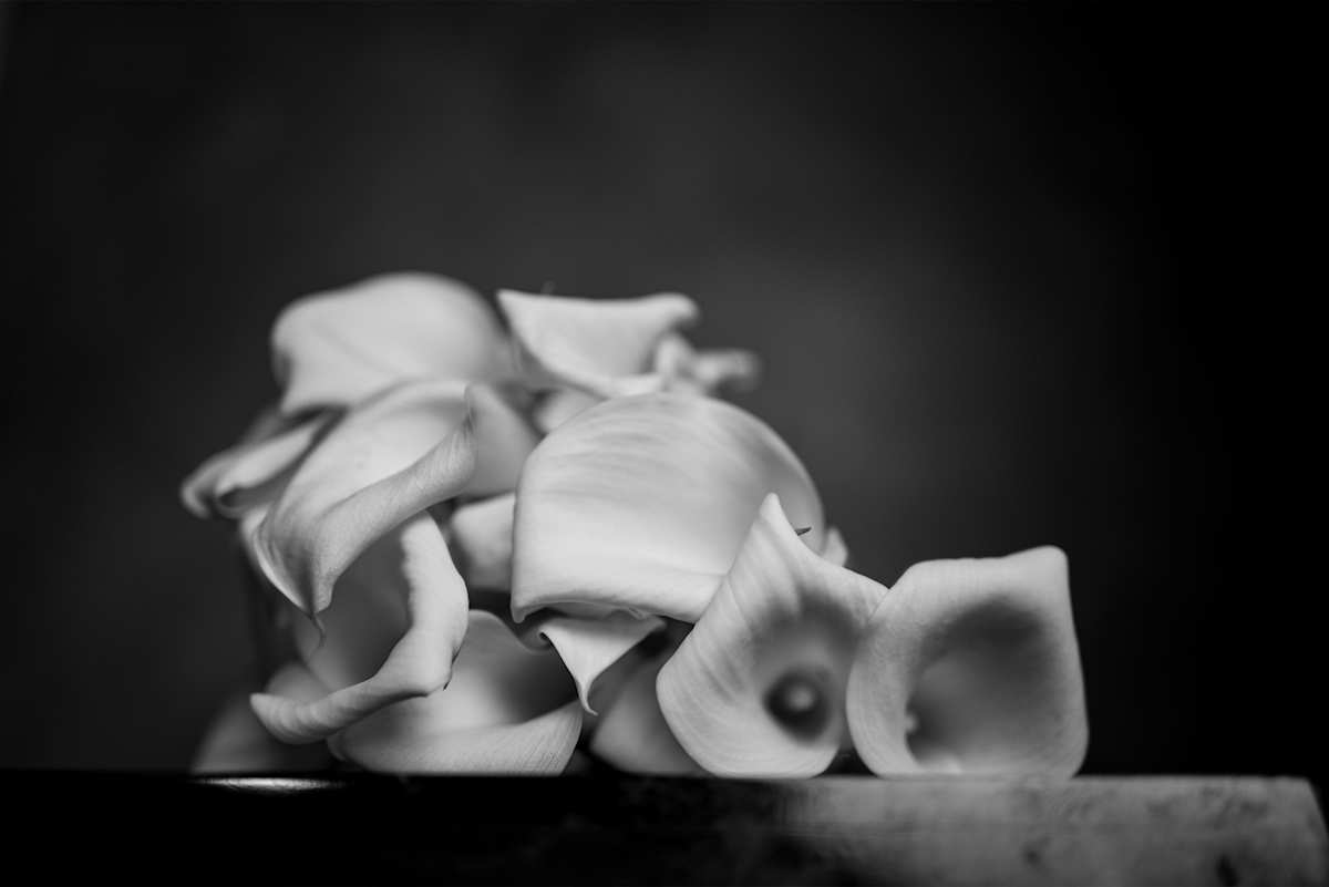 Équilibre Floral II. (composition chorégraphique) by KerenOr, Image 1.