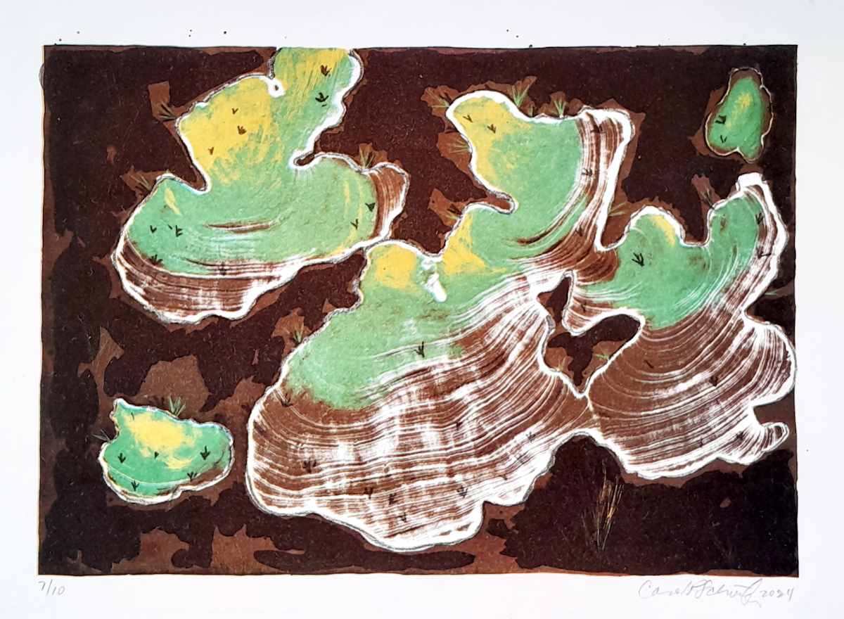 Brown Litho 3/10 by Carol Schottenfeld 