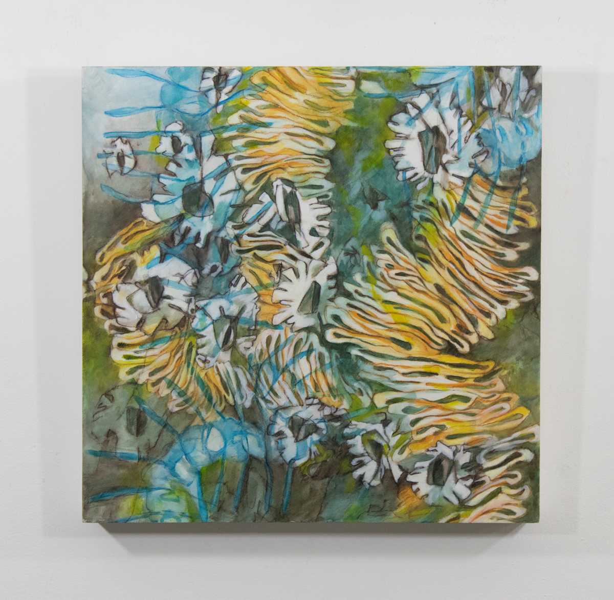 Barnacles and Lace by Darwin Nordin 